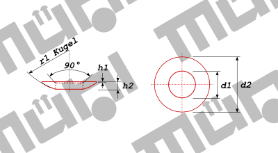 DIN 6319 -C Kugelscheibe Form C