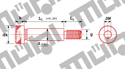 ISO 7379 Schulterpassschraube